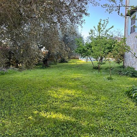 La Piccola Provenza Fiano Romano Exterior foto
