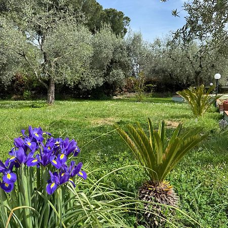 La Piccola Provenza Fiano Romano Exterior foto